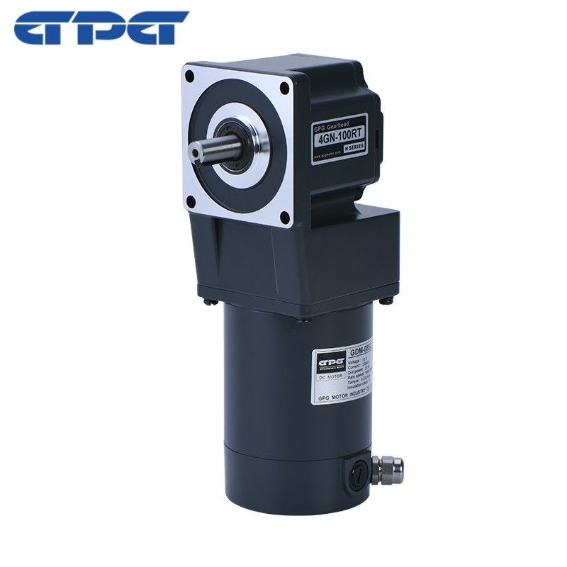 Motore a spazzole GDM-06SC 2DC 3000rpm di CC di CC 10w del cambio del motore